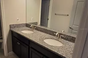13917 Roseate Tern Ln, Riverview, FL 33579 - Photo 24