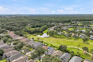 3230 Stonebridge Trail, Valrico, FL 33596 - Photo 58