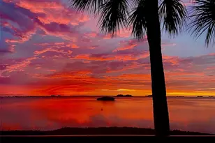 2700 Bayshore Blvd, Dunedin, FL 34698 - Photo 6