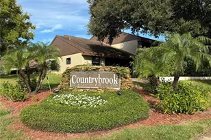 3540 Countrybrook Ln, Palm Harbor, FL 34684 - Photo 52