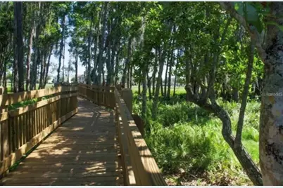 7143 Oak Glen Trail, Harmony, FL 34773 - Photo 8
