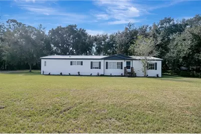 30148 Clearview Drive, Wesley Chapel, FL 33545 - Photo 1