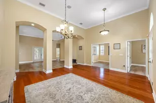 114 Irwin St E, Safety Harbor, FL 34695 - Photo 6