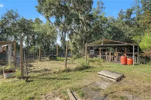 30436 Calle Ln, Wesley Chapel, FL 33543 - Photo 34