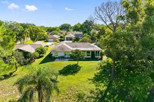 1681 Macdonnell Ct, Palm Harbor, FL 34684 - Photo 38