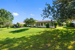 1681 Macdonnell Ct, Palm Harbor, FL 34684 - Photo 22