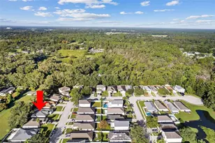 30260 Birdhouse Dr, Wesley Chapel, FL 33545 - Photo 30