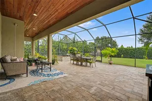 17815 Daisy Farm Dr, Lutz, FL 33559 - Photo 38