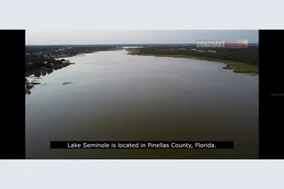 101st Street, Largo, FL 33773 - Photo 10