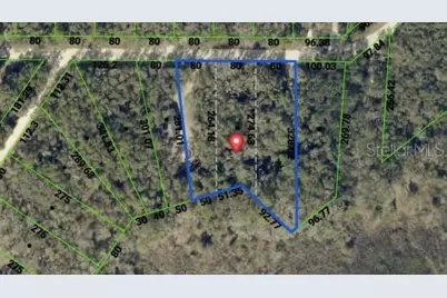 34086 Arrowrock Street, Webster, FL 33597 - Photo 8