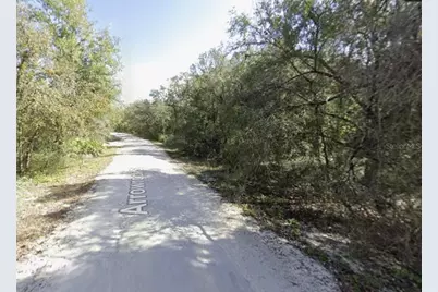 34086 Arrowrock Street, Webster, FL 33597 - Photo 2