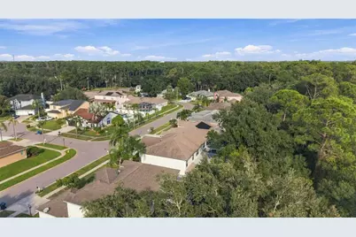 10102 Vista Pointe Dr, Tampa, FL 33635 - Photo 68