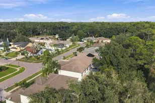 10102 Vista Pointe Dr, Tampa, FL 33635 - Photo 68