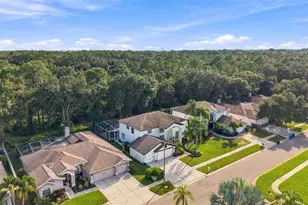 10102 Vista Pointe Dr, Tampa, FL 33635 - Photo 66