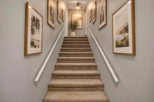 12145 Armenia Gables Cir, Tampa, FL 33612 - Photo 4