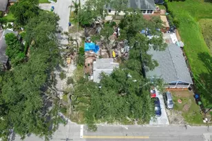 1802 E Annie St, Tampa, FL 33612 - Photo 4