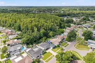 4206 Windtree Dr, Tampa, FL 33624 - Photo 48