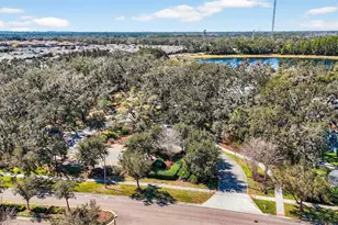 14310 Barrington Stowers Dr, Lithia, FL 33547 - Photo 50