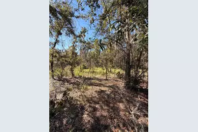 0 Cypress Street, Interlachen, FL 32148 - Photo 6