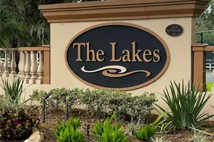 27606 Sky Lake Cir, Wesley Chapel, FL 33544 - Photo 50