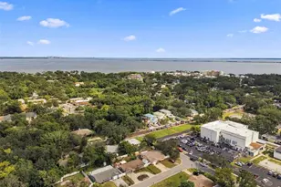 620 Palm Pl, Safety Harbor, FL 34695 - Photo 48