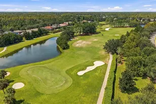 3508 Majestic View Dr, Lutz, FL 33558 - Photo 84