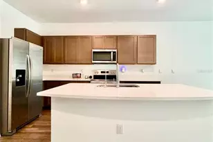 11407 Velvet Apricot Dr, Land O Lakes, FL 34638 - Photo 8