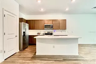 11407 Velvet Apricot Dr, Land O Lakes, FL 34638 - Photo 2