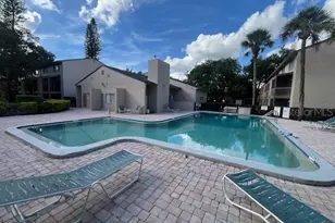7511 Presley Pl, Tampa, FL 33617 - Photo 12