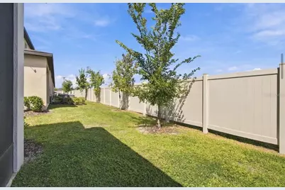 32041 Powderpuff Mimosa Drive, San Antonio, FL 33576 - Photo 36