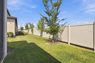 32041 Powderpuff Mimosa Dr, San Antonio, FL 33576 - Photo 36