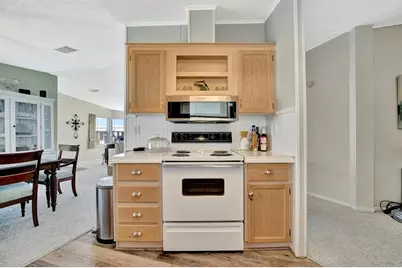 119 E Saint Johns Way, Apollo Beach, FL 33572 - Photo 26
