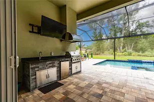 13303 Trailing Moss Dr, Dade City, FL 33525 - Photo 46