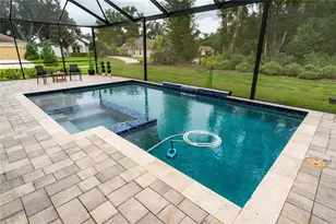 13303 Trailing Moss Dr, Dade City, FL 33525 - Photo 30