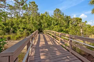 7246 Gaberia Rd, New Port Richey, FL 34655 - Photo 50