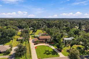 115 Hickory Creek Dr, Brandon, FL 33511 - Photo 78