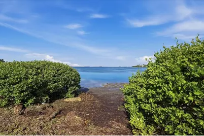 402 Orchid Lane, Palm Harbor, FL 34683 - Photo 28