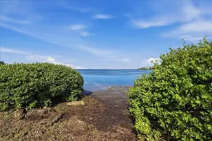 402 Orchid Ln, Palm Harbor, FL 34683 - Photo 28