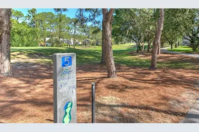 3325 Cypress Landing Drive, Valrico, FL 33596 - Photo 46