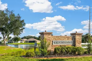 3003 Via Milano St, Plant City, FL 33566 - Photo 46