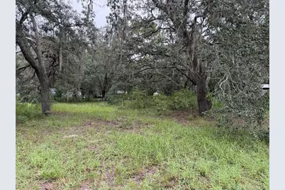 3468 Jodi West Drive, Dade City, FL 33523 - Photo 28