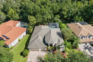 17353 Emerald Chase Dr, Tampa, FL 33647 - Photo 60