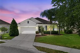 11908 Greenchop Pl, Riverview, FL 33579 - Photo 1