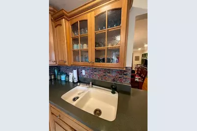 4031 Bluff Oak Court, Palm Harbor, FL 34684 - Photo 10
