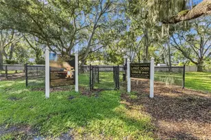 9234 Stone River Pl, Riverview, FL 33578 - Photo 54