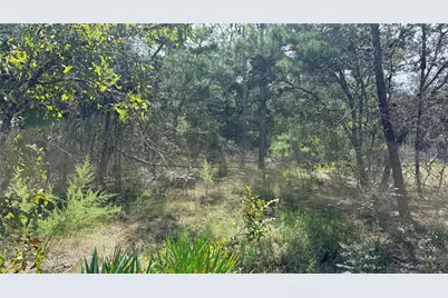 Bowman Road, Spring Hill, FL 34610 - Photo 4