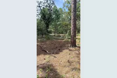 Bowman Road, Spring Hill, FL 34610 - Photo 6