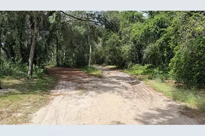 Bowman Road, Spring Hill, FL 34610 - Photo 8