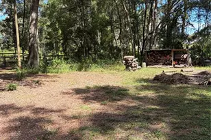 6401 Sunnyside Ranch Rd, Brooksville, FL 34602 - Photo 14