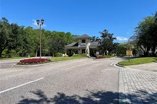 14824 Tudor Chase Dr, Tampa, FL 33626 - Photo 70